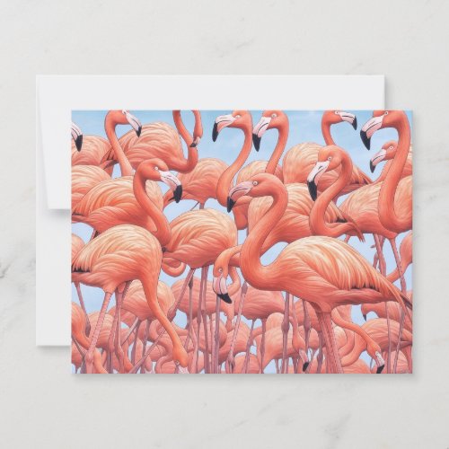 Flamingoes, Greeting Card
