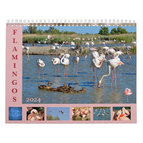 Flamingos 12 month calendar