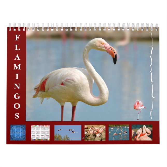 Flamingos 12 month calendar (Cover)