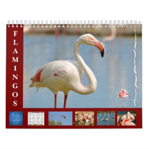 Flamingos 12 month calendar