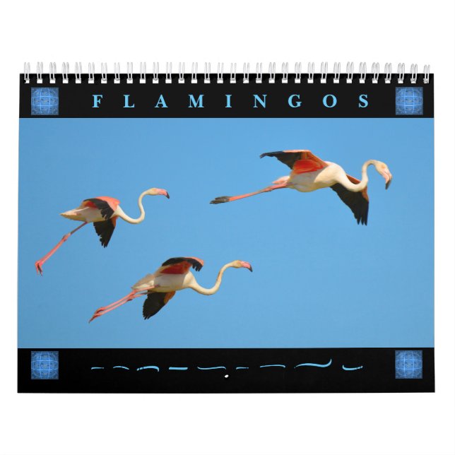 Flamingos 12 month calendar (Cover)