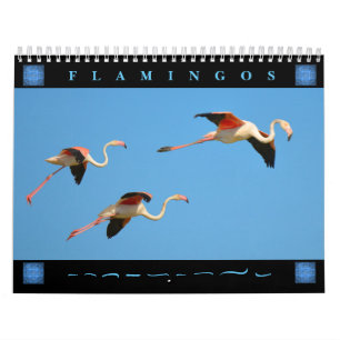 Flamingos 12 month calendar