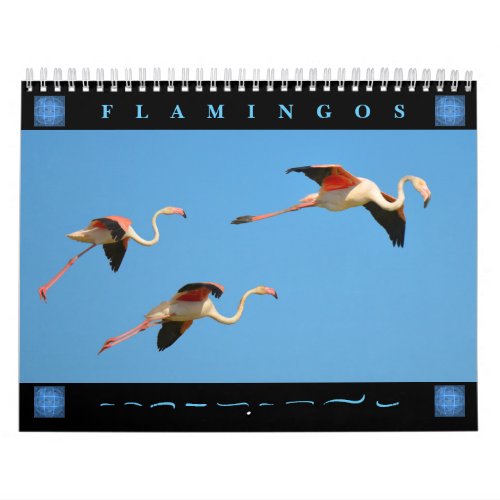 Flamingos 12 month calendar