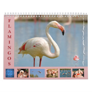 Flamingos 12 month calendar