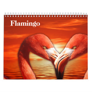 Flamingos 2024 calendar