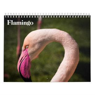 Flamingos 2024 calendar