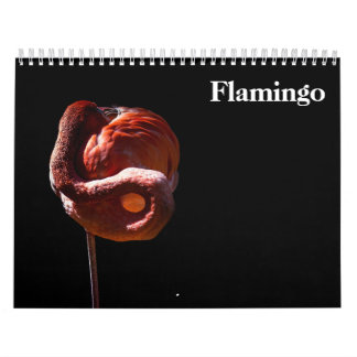 Flamingos 2027 calendar