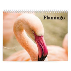 Flamingos 2027 calendar