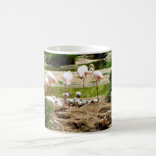 Flamingos and chicks coffee mug