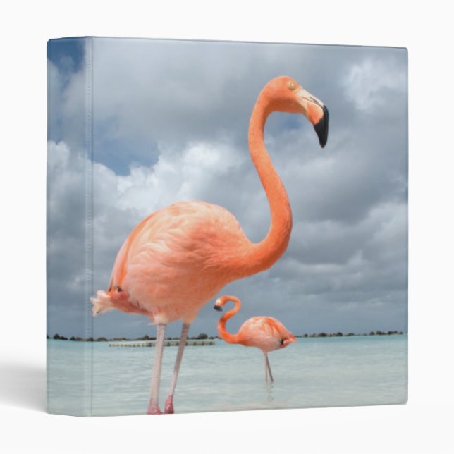 Flamingos Beach Aruba 3 Ring Binder (Front/Spine)