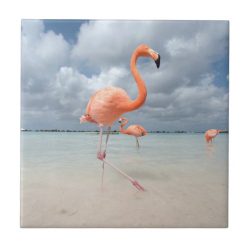 Flamingos Beach Aruba Ceramic Tile