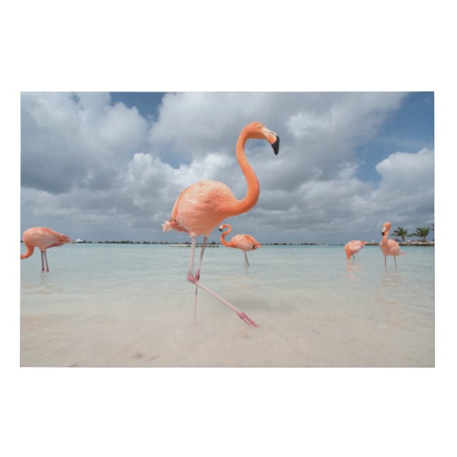 Flamingos Beach Aruba Faux Canvas Print (Front)