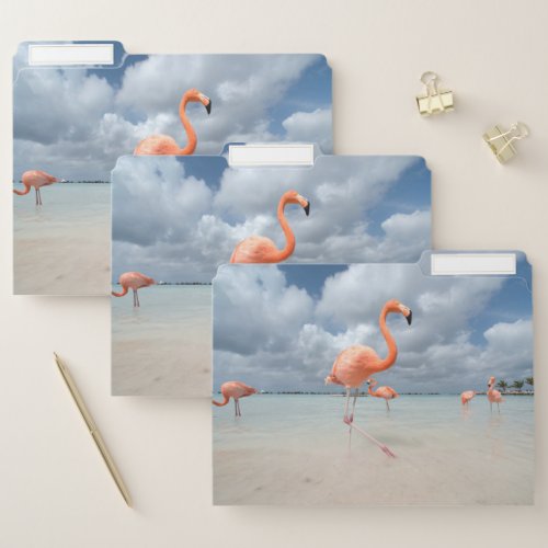 Flamingos Beach Aruba File Folder