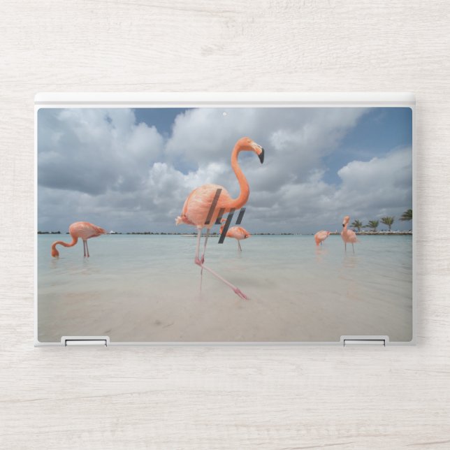 Flamingos Beach Aruba HP Laptop Skin (Front)