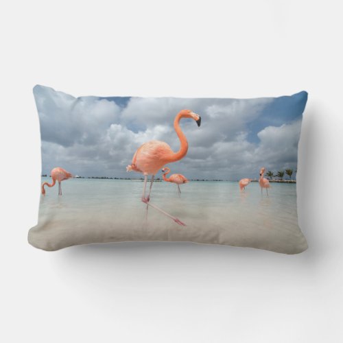 Flamingos Beach Aruba Lumbar Pillow