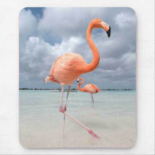 Flamingos Beach Aruba Mouse Pad
