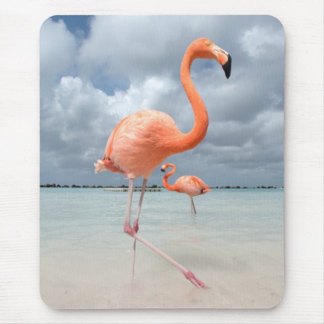 Flamingos Beach Aruba Mouse Pad (Front)