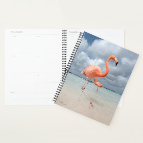 Flamingos Beach Aruba Planner