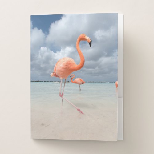 Flamingos Beach Aruba Pocket Folder