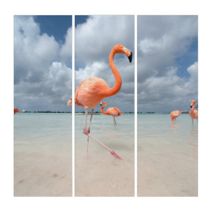 Flamingos Beach Aruba Triptych