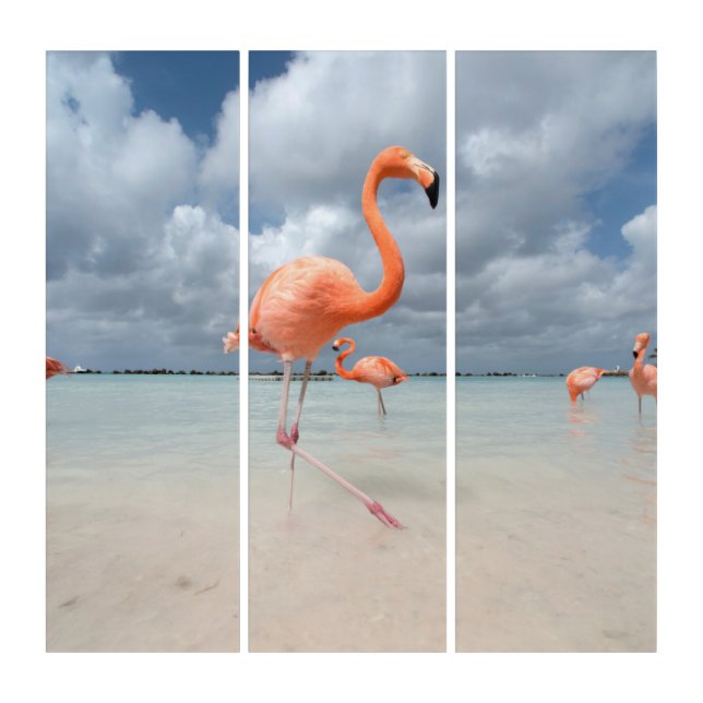 Flamingos Beach Aruba Triptych (Front)