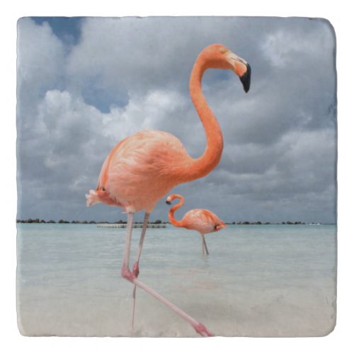 Flamingos Beach Aruba Trivet