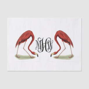 Flamingos Black Vine Script Monogram DIY BG Tissue Paper