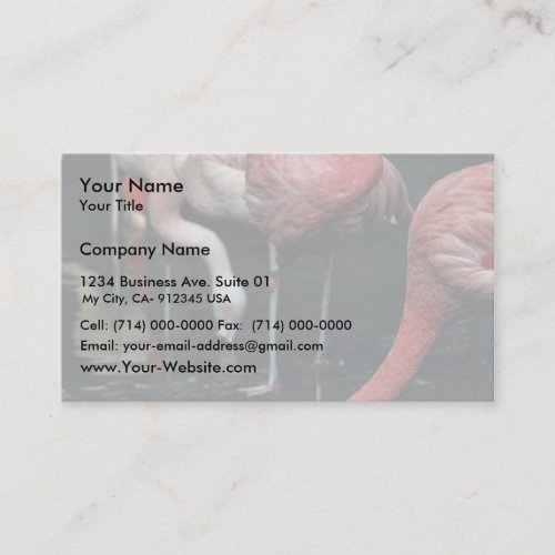 Flamingos Business Card