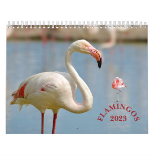 Flamingos calendar