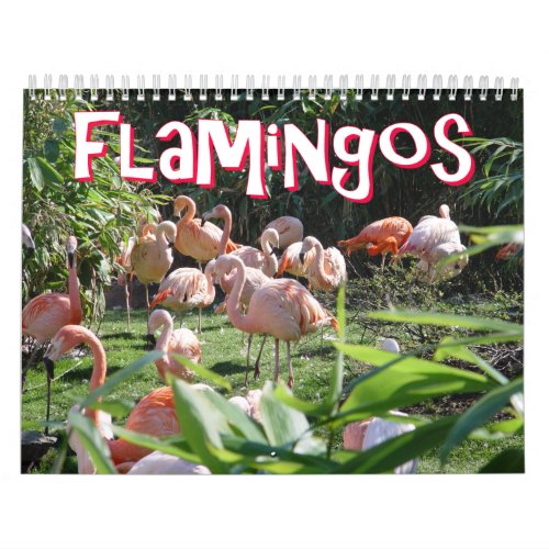 Flamingos Calendar