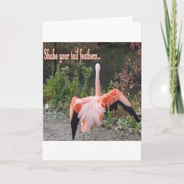 Flamingos Card (Front)