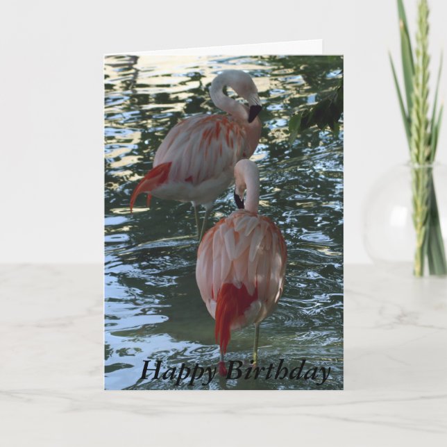 Flamingos Card (Front)