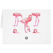 Flamingos Cards (Back Horizontal)