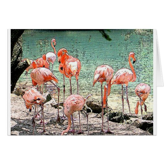 Flamingos Cards (Front Horizontal)