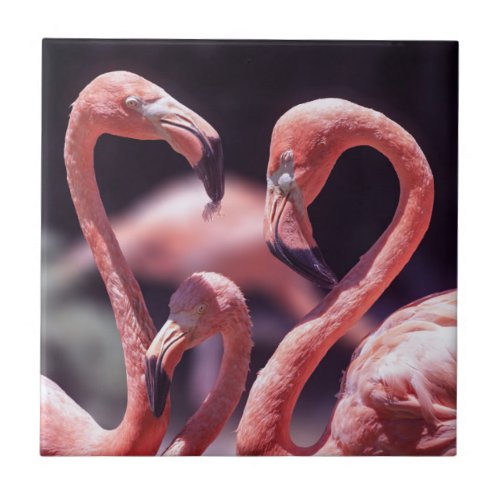 Flamingos Ceramic Photo Tile