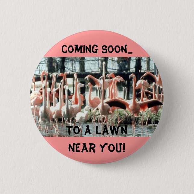 Flamingos, Coming Soon..., To a Lawn Near You! Pinback Button (Front)