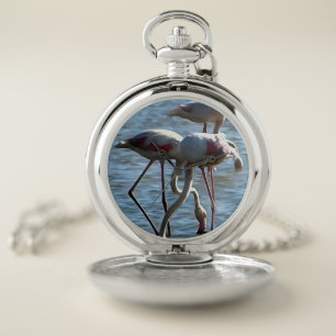 Flamingos Feeding Time Acrylic Painting Pocket Watch