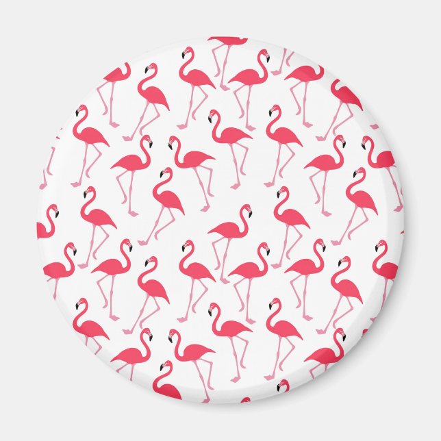 flamingos Flimingos Magnet (Front)