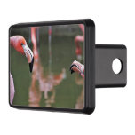 Flamingos Hitch Cover 2" Receiver