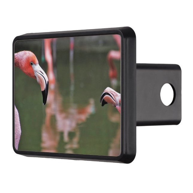 Flamingos Hitch Cover 2" Receiver (Left)