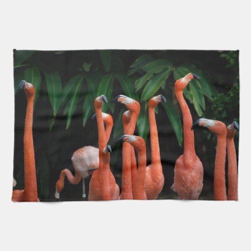 Flamingos in paradise kitchen kitchen towel
