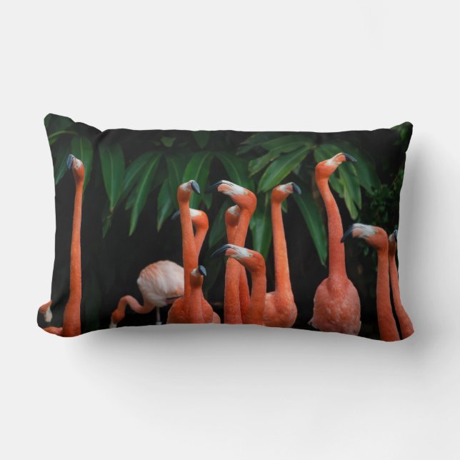 Flamingos in Paradise throw Lumbar Pillow (Front)