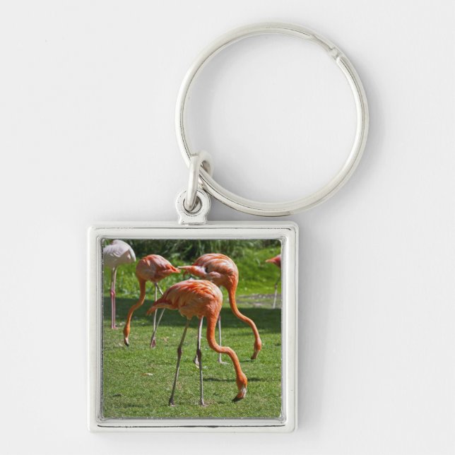 Flamingos Keychain (Front)
