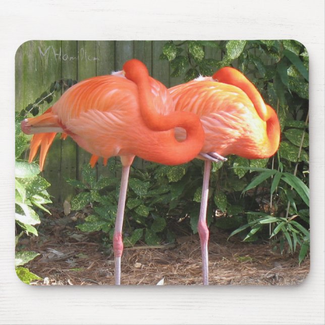 Flamingos Mouse Pad (Front)