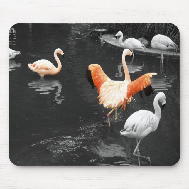 Flamingos Mouse Pad (Front)