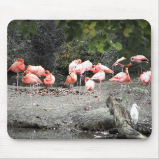 flamingos mouse pad