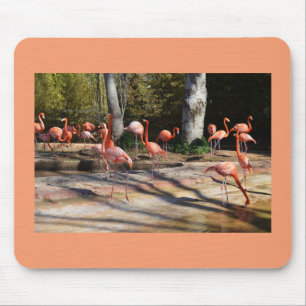 Flamingos Mouse Pad