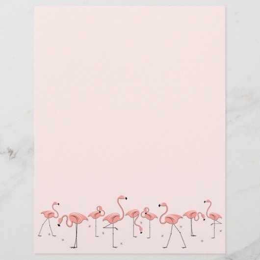 Flamingos Pink Line letterhead (Front)