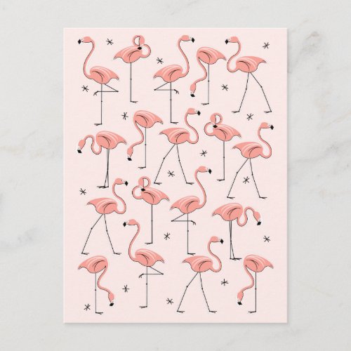 Flamingos Pink postcard