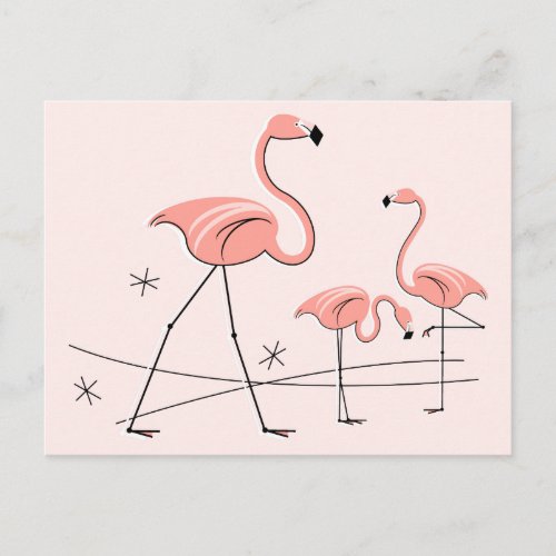 Flamingos Pink Trio 2 postcard